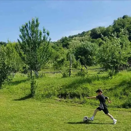 Zelinjski Vidikovac Zvornik