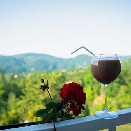 Zelinjski Vidikovac *